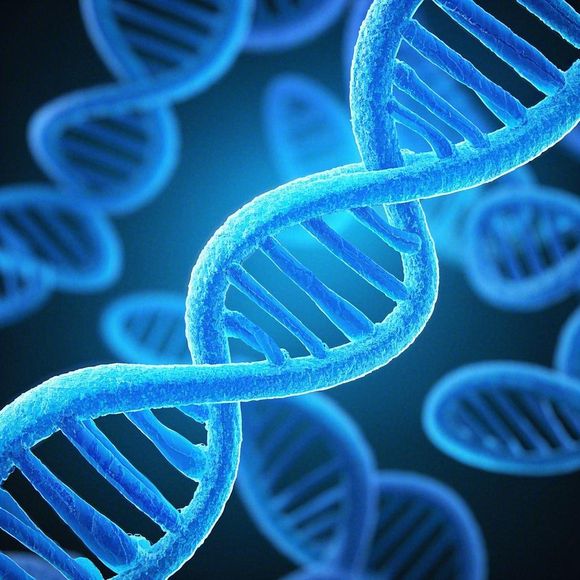 家族性致死性失眠：一种让你 “睡” 去就再也醒不来的病